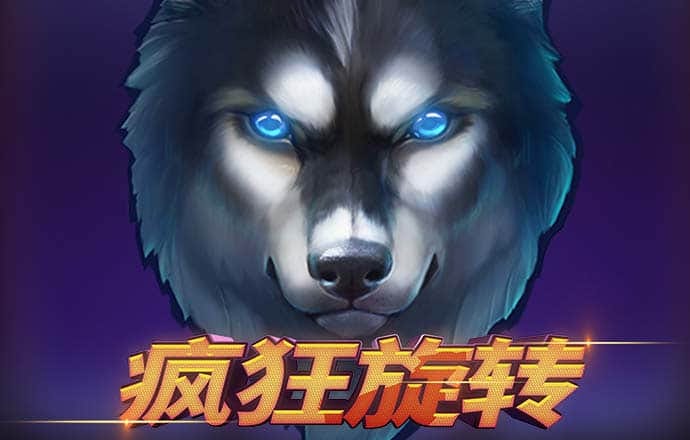 11133宝典下载14好